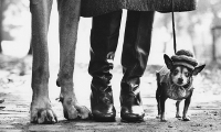 foto di Elliott Erwitt (New York 1974)